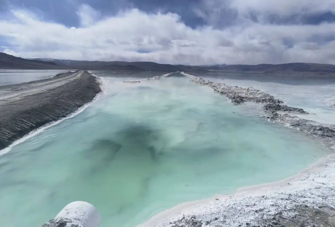 ǿǿŽᣬƻκɫۺϿʹ--κɫۺϿʹαŽʵ