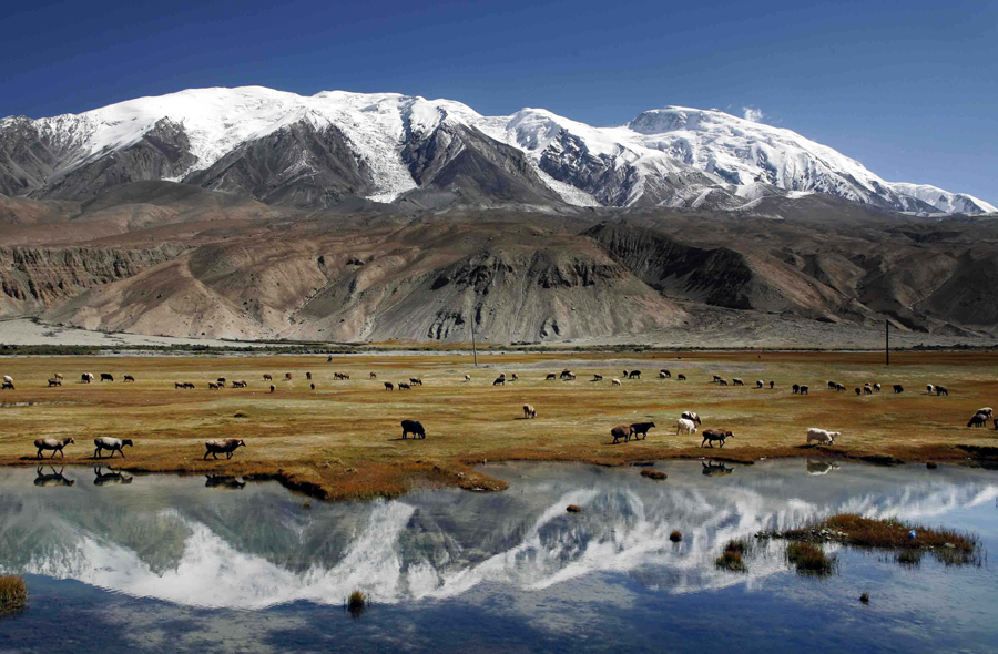 ͷ | ĵͭ󣬣÷jdbվӪҵ½ṹ